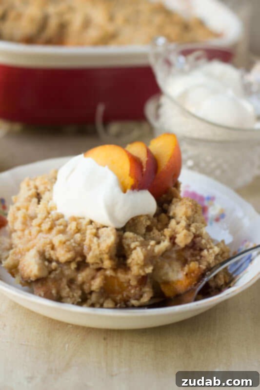 Creamy Peach Slow Cooker Overnight Oats 4 img 17508 5