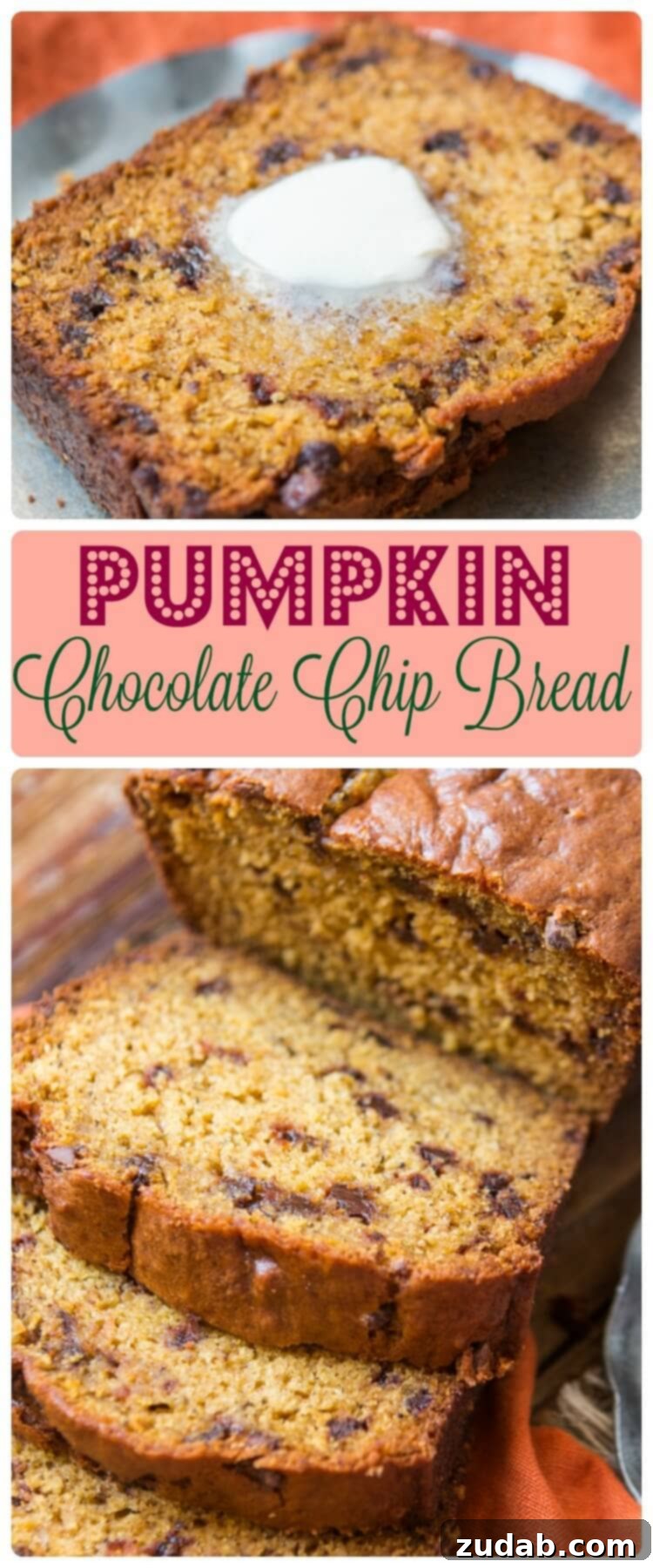 Spiced Pumpkin Chocolate Chip Bread 2 The perfect pumpkin chocolate chip bread recipe for fall baking. A moist, spiced pumpkin loaf with delicious chocolate chips. ohsweetbasil.com