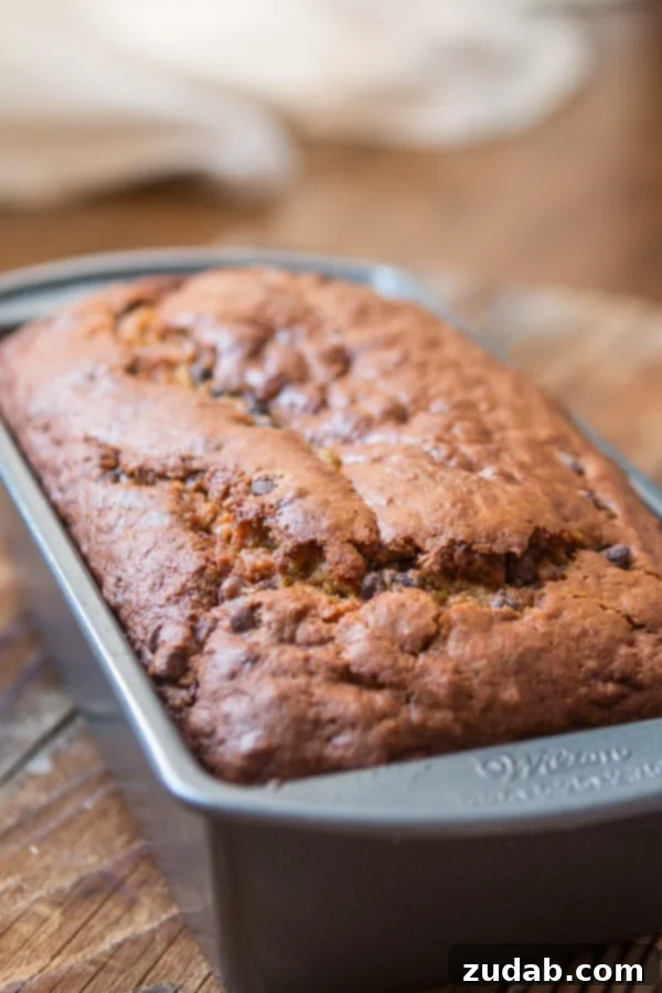 Deliciously Moist Pumpkin Chocolate Chip Bread A beautifully baked pumpkin chocolate chip bread loaf with a slice taken out, hinting at its deliciousness. ohsweetbasil.com