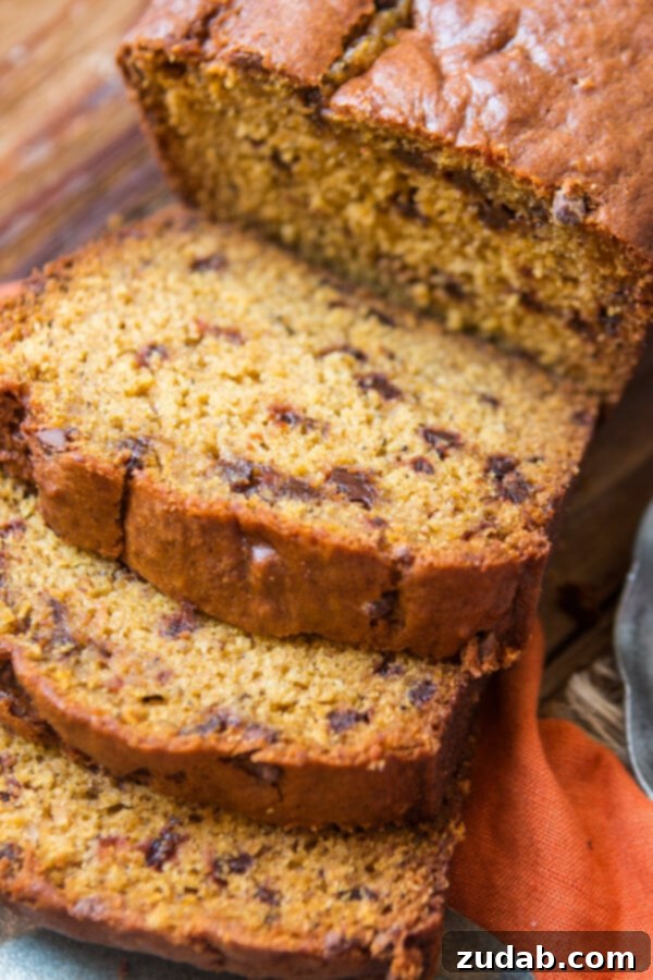 The Aroma of Fresh Pumpkin Bread Close-up of a warm, fresh pumpkin chocolate chip bread, showing the melted chocolate chips and soft texture. ohsweetbasil.com
