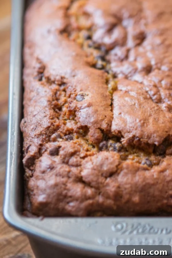 Irresistible Pumpkin Bread Slice A close-up shot of a thick slice of pumpkin chocolate chip bread, revealing its tender crumb and rich chocolate. ohsweetbasil.com