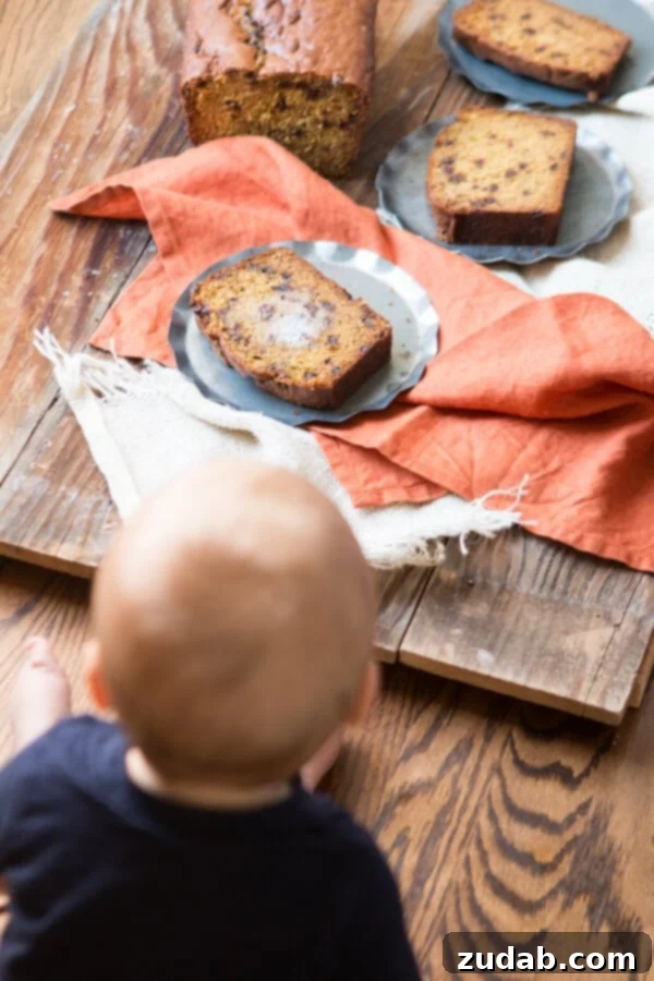Patient Sweetheart Awaits Pumpkin Bread A young child patiently waiting to eat a slice of delicious pumpkin chocolate chip bread.