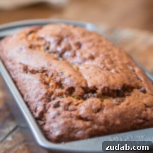 The perfect pumpkin chocolate chip bread recipe, moist and delicious, from ohsweetbasil.com