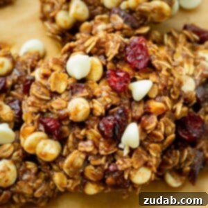 Spiced White Chocolate Cranberry Breakfast Cookies 10 A single perfectly baked Spiced White Chocolate Craisin Breakfast Cookie, showcasing its golden edges and speckled surface.