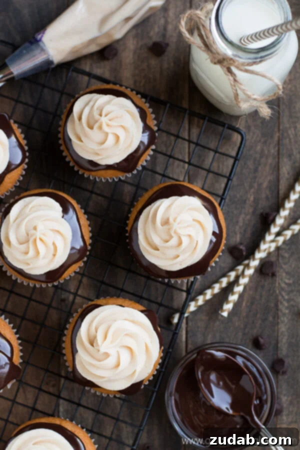 Delicious Chocolate Covered Pumpkin Cupcakes Ready to Eat Delicious Chocolate Covered Pumpkin Cupcakes Ready to Eat