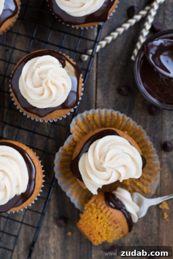 Close-up of Chocolate Covered Pumpkin Cupcakes Close-up of Chocolate Covered Pumpkin Cupcake