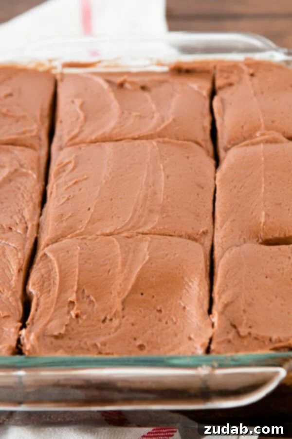Moist & Delicious Wacky Chocolate Cake: The Easiest Vegan Recipe Slice of wacky chocolate cake, moist and rich, with chocolate frosting. A dairy-free, eggless treat.