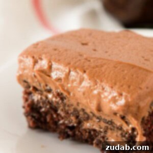 This is the wackiest chocolate cake, no eggs or dairy and all made in the pan it's baked in but oh how we love it!