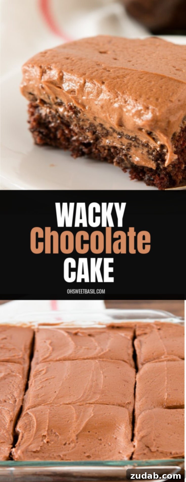 Whimsical Chocolate Cake 2 Wacky chocolate cake with no eggs or dairy and it's all made in one pan but tastes like the most moist cake ever!