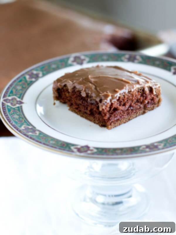 Whimsical Chocolate Cake 4 Chocolate sheet cake with rich chocolate frosting. A classic, comforting dessert.