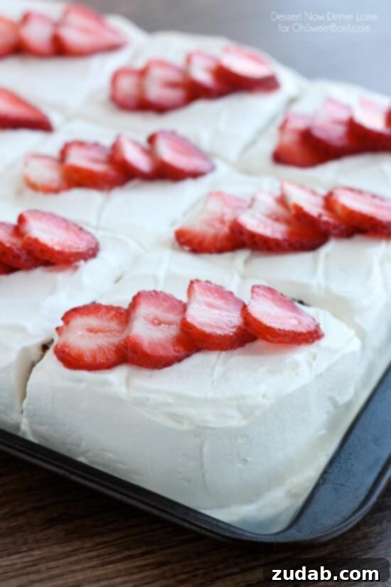 Whimsical Chocolate Cake 6 Classic Tres Leches Cake, a moist sponge cake soaked in three kinds of milk and topped with whipped cream.