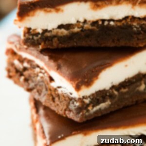 Peppermint Patty Brownies Final Dish A beautifully composed shot of a single Peppermint Patty Brownie square, showcasing the perfect layers of fudgy chocolate, creamy mint, and crisp chocolate glaze, garnished with a sprig of fresh mint.
