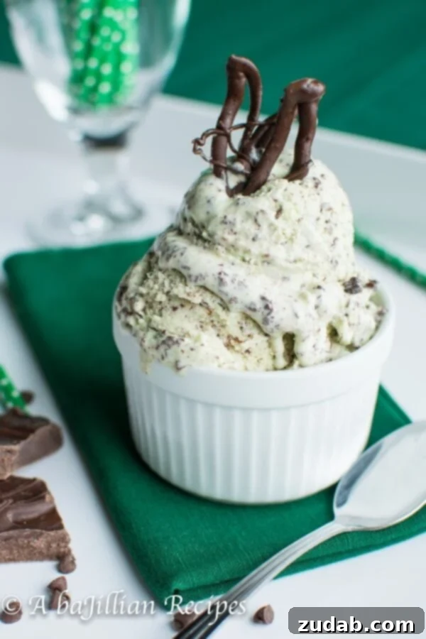 Homemade Mint Chocolate Stracciatella Ice Cream Delight Lush green mint chocolate stracciatella ice cream with chocolate flakes in a bowl