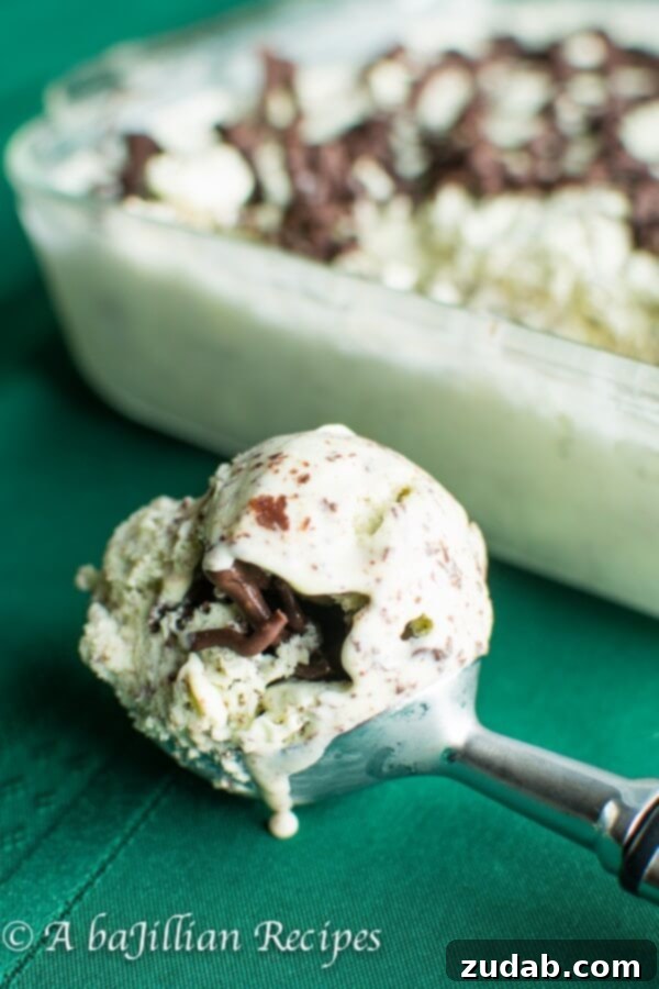 The Perfect Stracciatella Texture: Fine Chocolate Shards Smooth and delicate chocolate flakes perfectly integrated into mint ice cream
