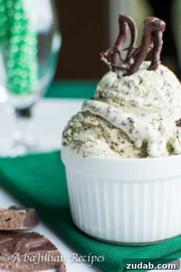 Serving Homemade Mint Chocolate Stracciatella Mint chocolate stracciatella ice cream ready to be served