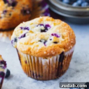 Bakery Style Blueberry Muffin Recipe