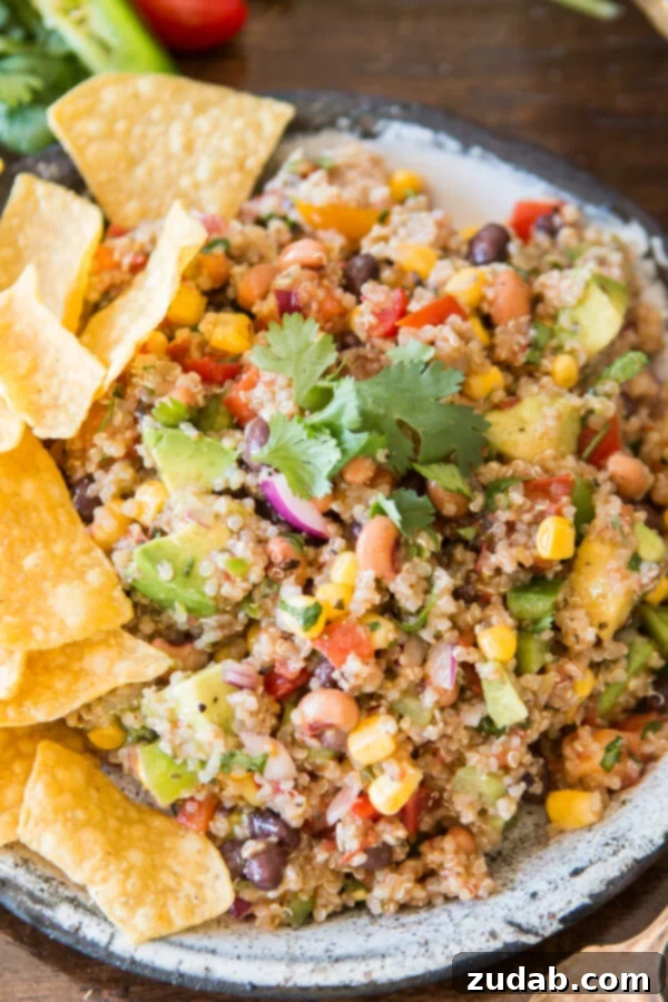 Summer Picnic with Cowboy Caviar Quinoa A family enjoying a summer picnic with a delicious spread, including the vibrant Cowboy Caviar Quinoa, promoting outdoor dining and quality time.
