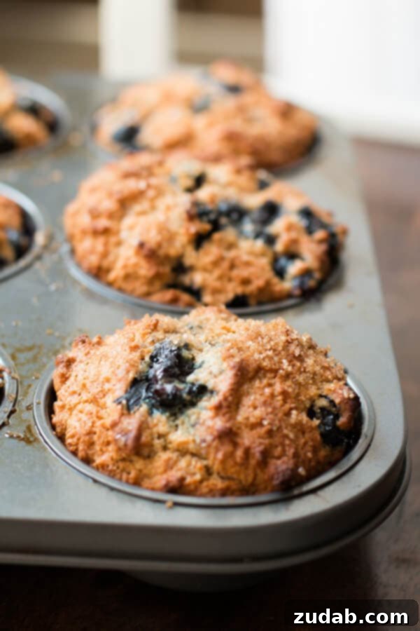 A Cozy Clutch 7 Fluffy whole wheat muffins with oat flour and no eggs, bursting with blueberry flavor.
