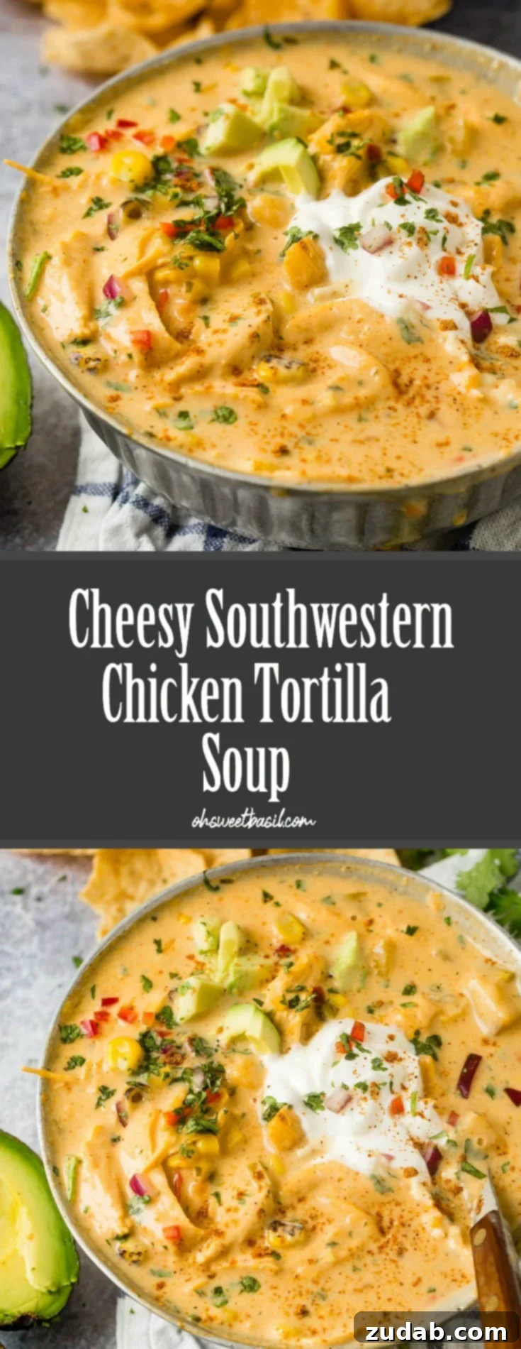 Hearty Cheesy Southwestern Chicken Tortilla Soup 11 A beautiful bowl of creamy Cheesy Chicken Tortilla Soup, topped with sour cream and avocado slices.