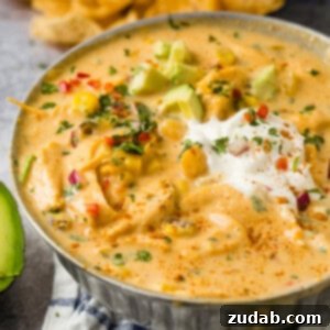 Hearty Cheesy Southwestern Chicken Tortilla Soup 10 Cheesy Southwestern Chicken Tortilla Soup