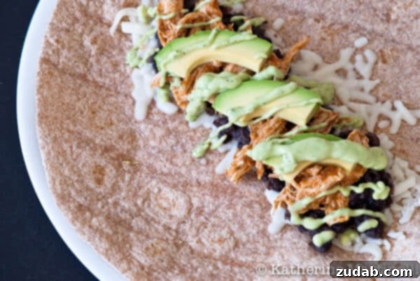 Steak & Avocado Enchiladas 6 Burrito-Avocado-Crema-47