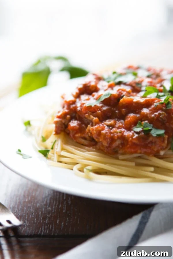The Ultimate Homemade Spaghetti Sauce 2 A white dinner plate generously topped with cooked spaghetti and our delicious homemade spaghetti sauce, ready for a comforting meal.