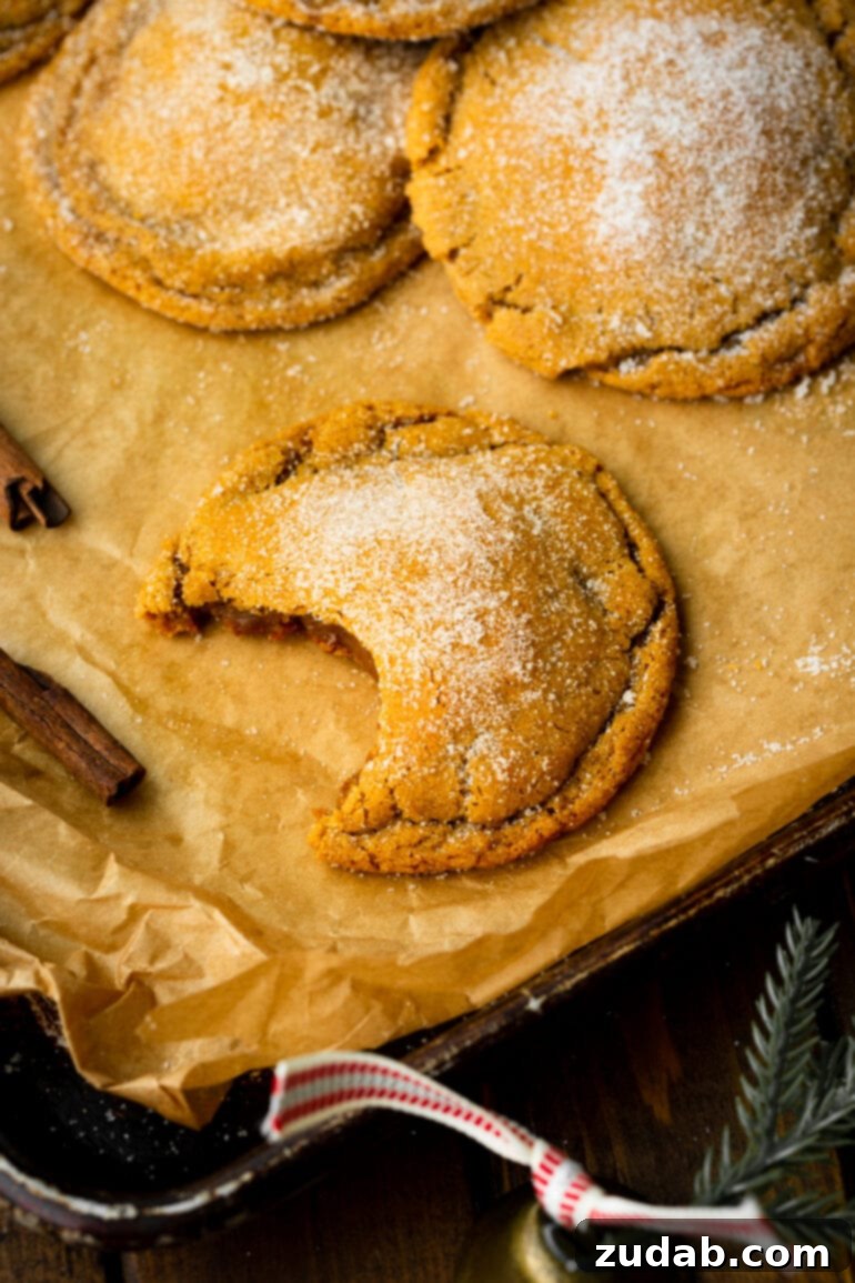 Classic Spiced Molasses Cookies 4 A photo of a thick and chewy molasses cookie with a bite taken out of it