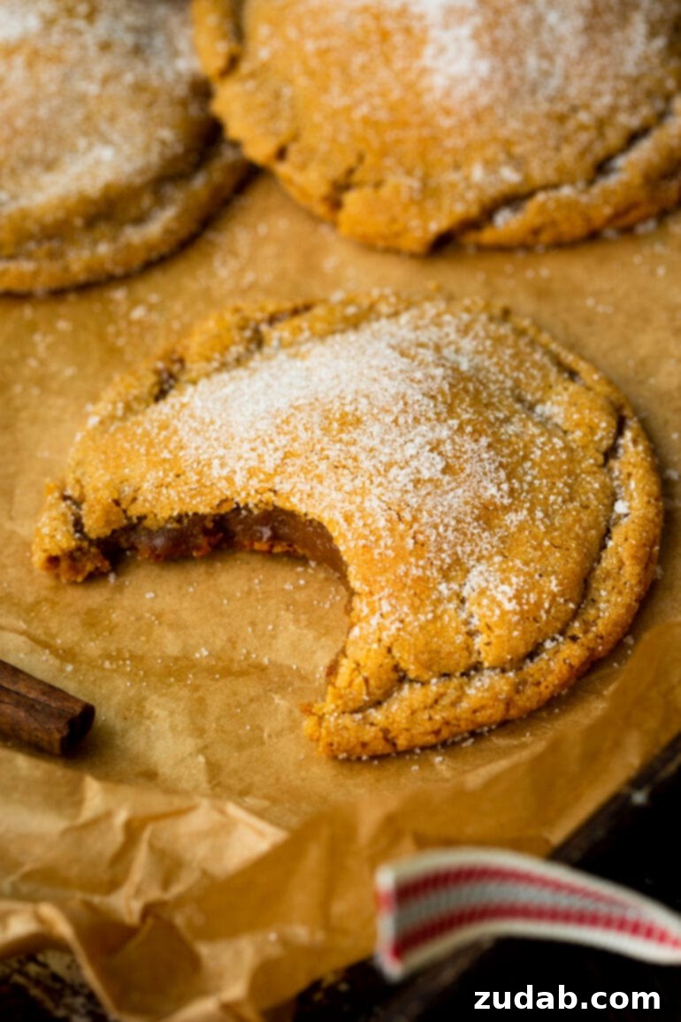 Classic Spiced Molasses Cookies 6 A photo of a large chewy molasses cookie with a bite taken out of it and topped with sprinkled granulated sugar