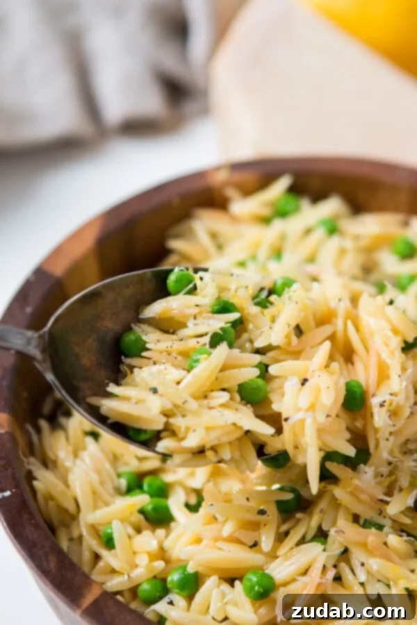 Zesty Lemon Orzo with Peas and Parmesan 2 a photo of a silver spoon scooping up some lemon orzo pasta mixed with peas, shaved parmesan cheese, black pepper