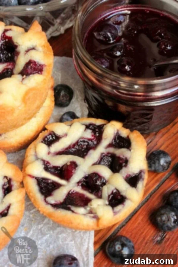Irresistibly Soft Sugar Cookie Bars 6 Blueberry Pie Sugar Cookies, a delightful and flavorful dessert.