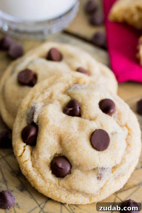 Fudge Lava Chocolate Chip Cookies 6 Classic peanut butter chocolate chip cookies, a timeless and comforting treat for any occasion.