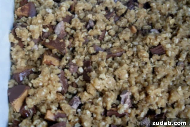 Reese's Peanut Butter Crumble 4 An aerial view of freshly baked Reese's Crumble Bars in a pan, ready to be sliced