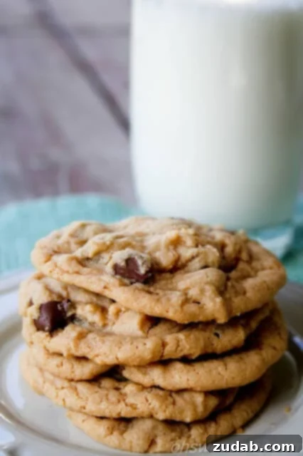 Peanut Butter Chocolate Chip Perfection 2 Delicious peanut butter chocolate chip cookies on a cooling rack.