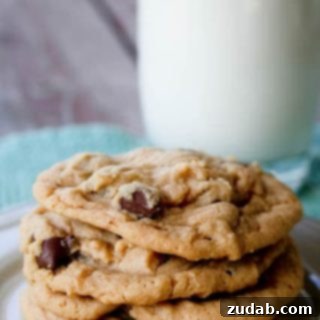 Peanut Butter Chocolate Chip Cookies