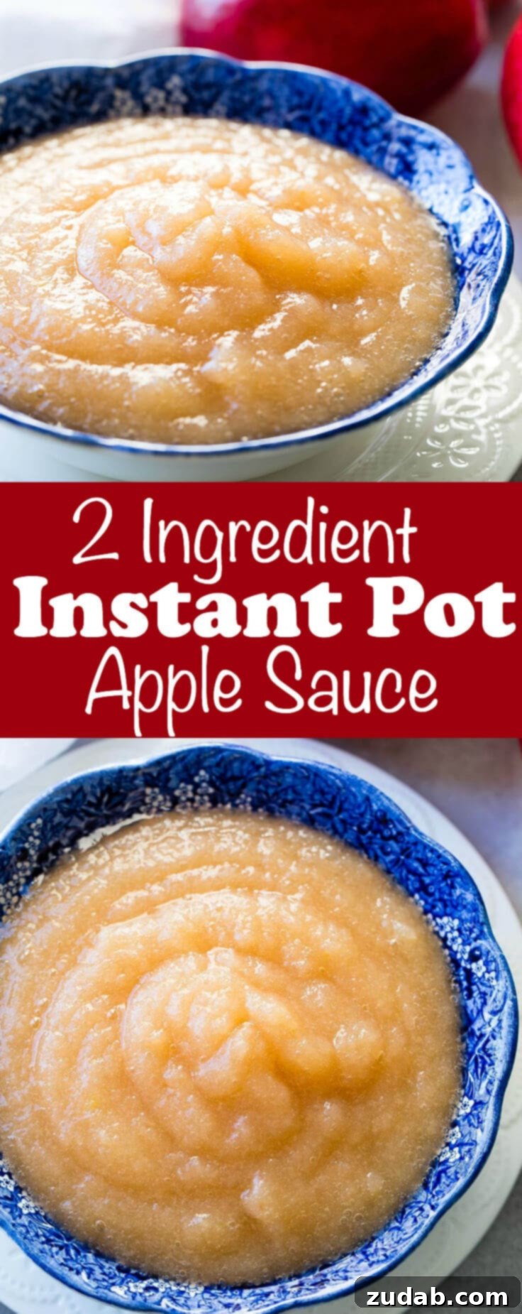Easy 2-Ingredient Instant Pot Applesauce 5 A beautifully presented image of homemade applesauce, emphasizing its wholesome and delicious nature.