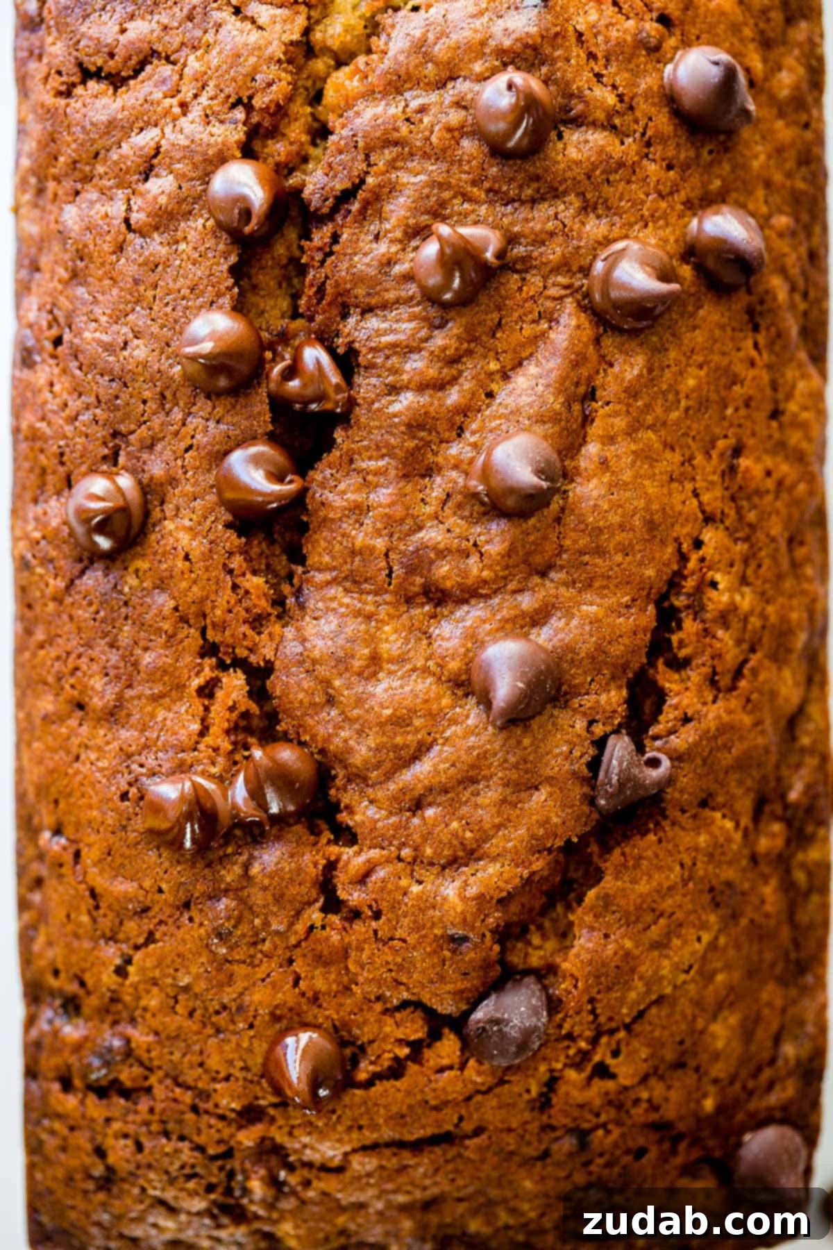 Ultimate Biscoff Banana Bread 5 The soft, sweet, and incredibly moist Biscoff banana bread, enhanced by the delightful caramel-spice notes of Biscoff cookies, promises an unforgettable treat.
