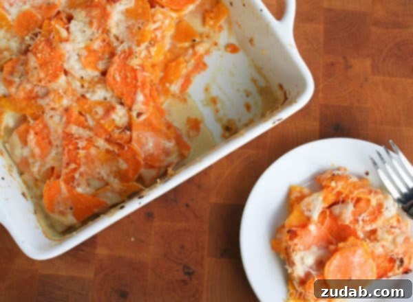 Creamy Sweet Potato and Butternut Squash Gratin 2 Rich and creamy sweet potato and butternut squash gratin