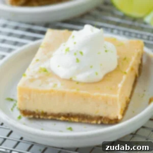 Zesty Key Lime Bars 6 img 3586 5
