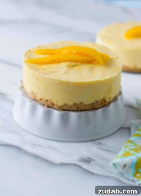 Simple & Incredible Frozen Mango Dessert Irresistible Frozen Mango Dessert with Macadamia Nut Crust