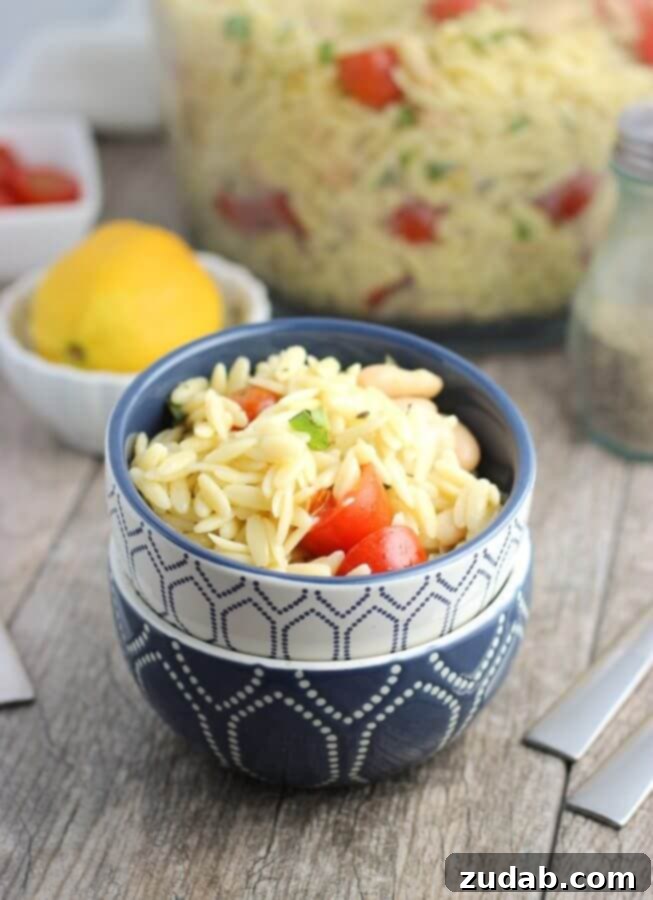 Zesty Farfalle Chicken Salad 4 Lemon Orzo Pasta Salad - an easy pasta salad with fresh basil, tomatoes, cannellini beans, and almonds.