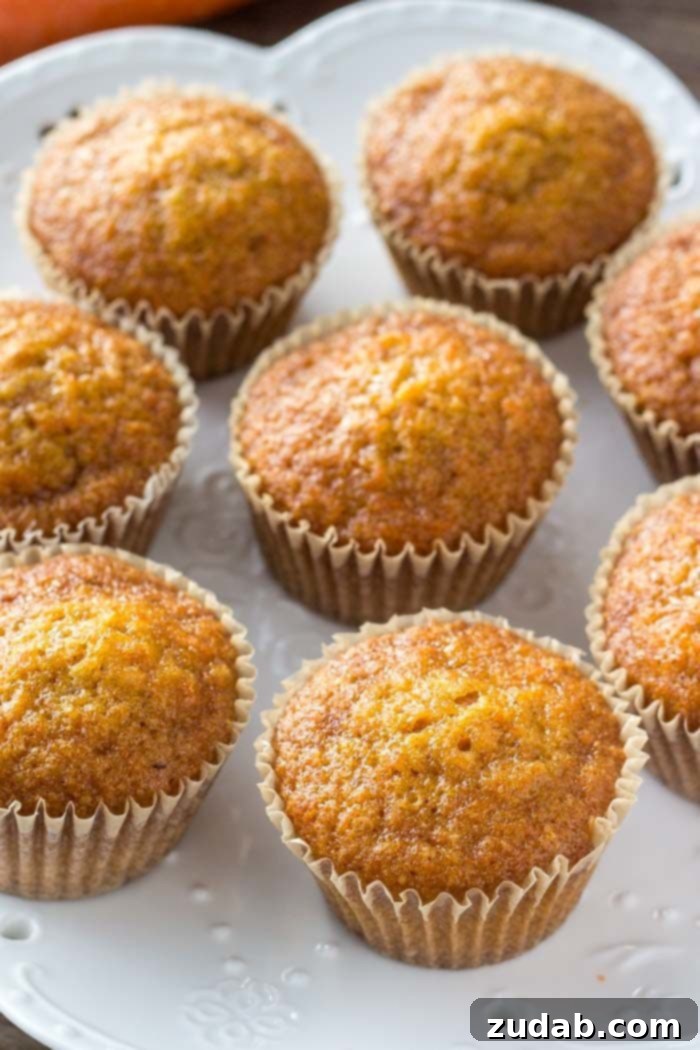 Unfrosted Carrot Cake Cupcakes Ready for Frosting A tray of unfrosted, perfectly baked carrot cake cupcakes cooling on a white plate, ready for frosting