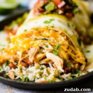 Zesty Honey-Lime Smothered Chicken Burritos 6 A beautifully presented Smothered Honey Lime Chicken Burrito, ready to be enjoyed.