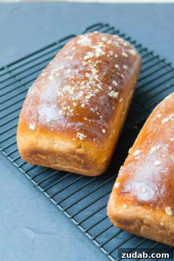 Our family loves this easy homemade molasses oatmeal bread recipe ohsweetbasil.com