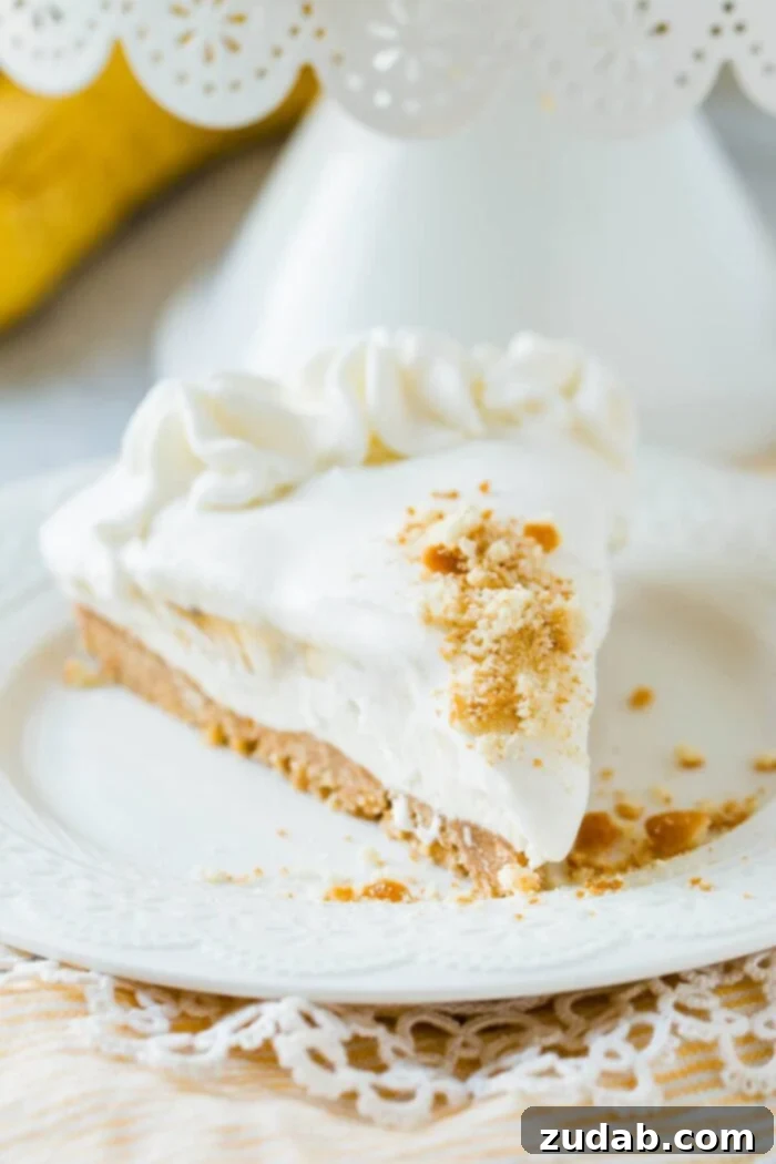 Sweet Banana Cloud Dip 7 No bake banana pudding cheese on a sweet vanilla wafer crust and absolutely no oven involved. ohsweetbasil.com