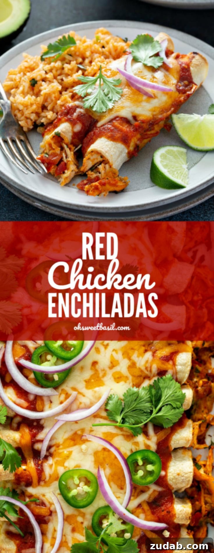 Fiery Red Chicken Enchiladas 3 A serving plate with two enchiladas, Spanish rice, and two lime wedges. Cilantro leaves are sprinkled on top of the enchiladas. There is a bowl of Spanish rice and an avocado that is cut in half in the background.