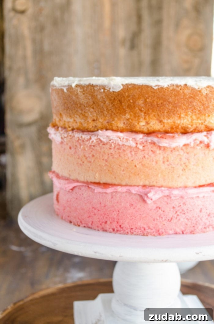Blushing Strawberry Ombre Cake 9 A raised cake dish showcases a stunning three-layer naked cake, with each layer and its corresponding frosting transitioning to lighter shades as it ascends.