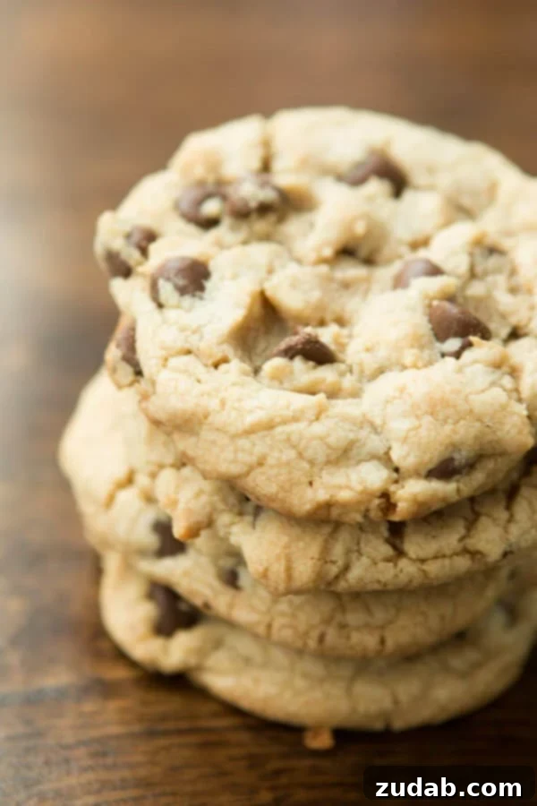 Achieving Chocolate Chip Cookie Perfection Close-up of a warm, gooey America's Test Kitchen Chocolate Chip Cookie, showcasing its perfect texture and abundant chocolate chips.