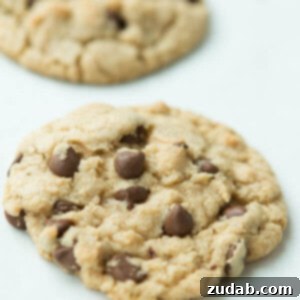 Americas Test Kitchen Ultimate Chocolate Chip Cookies 3 Fall is here and pumpkin is on my mind, but today is about the classic, America's Test Kitchen Chocolate Chip Cookies.