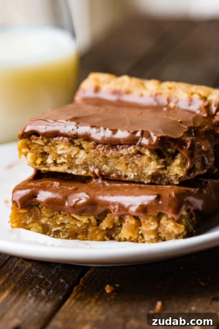 Irresistible Peanut Butter Bars 2 Delicious Peanut Butter Bars with a rich chocolate frosting, ready to be served at a party.