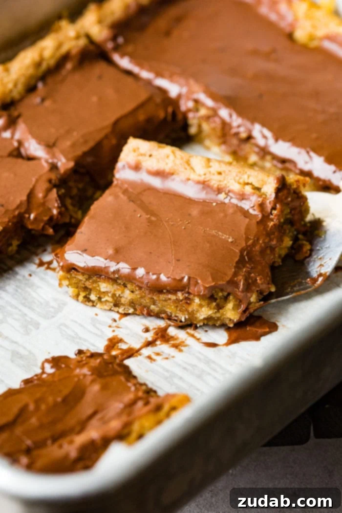 Irresistible Peanut Butter Bars 3 A close-up shot of a plate of homemade Peanut Butter Bars, featuring a thick layer of chocolate frosting.